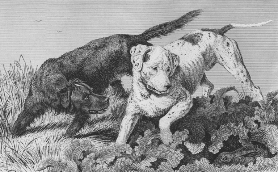 Photo granule pro kastrovaného psa