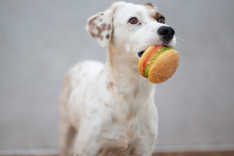 dog food for sensitive kidneys