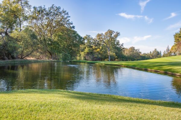 Photo Canicross nutrition