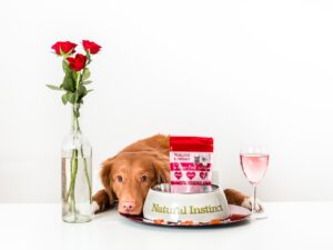 Photo dog food for sensitive kidneys